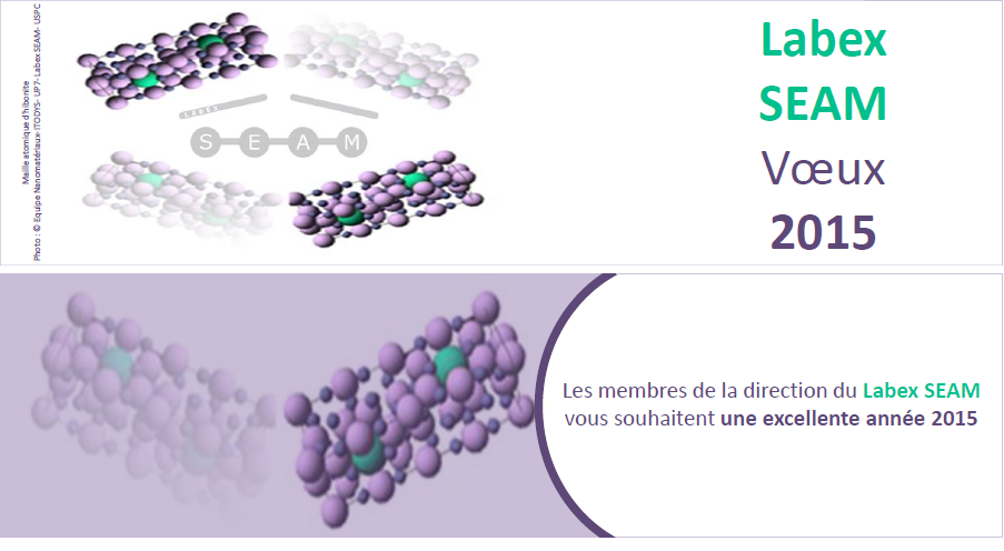 bonne annee 2015