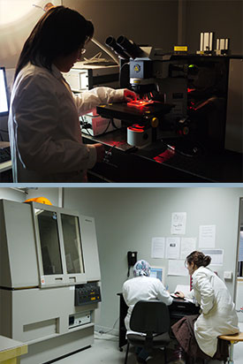 Labex image