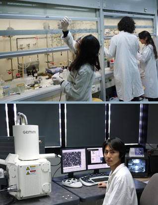 Labex image