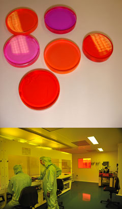 Labex image