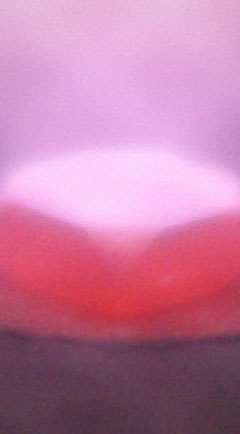 labex seam photo