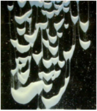 labex seam photo