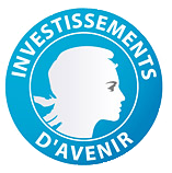 investissement-avenir.gouvernement